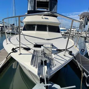 Private Yacht In Botel *